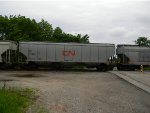 CN 113265 is new to RRPA!